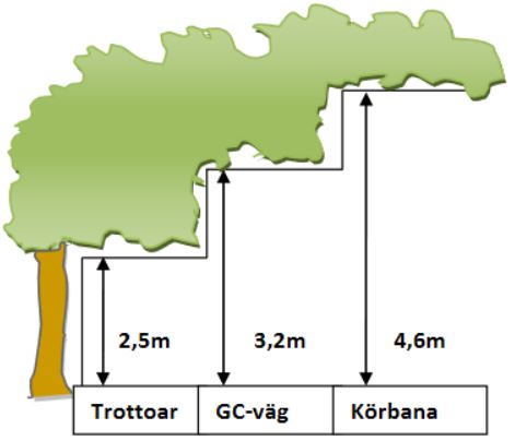 Illustration träd intill gata