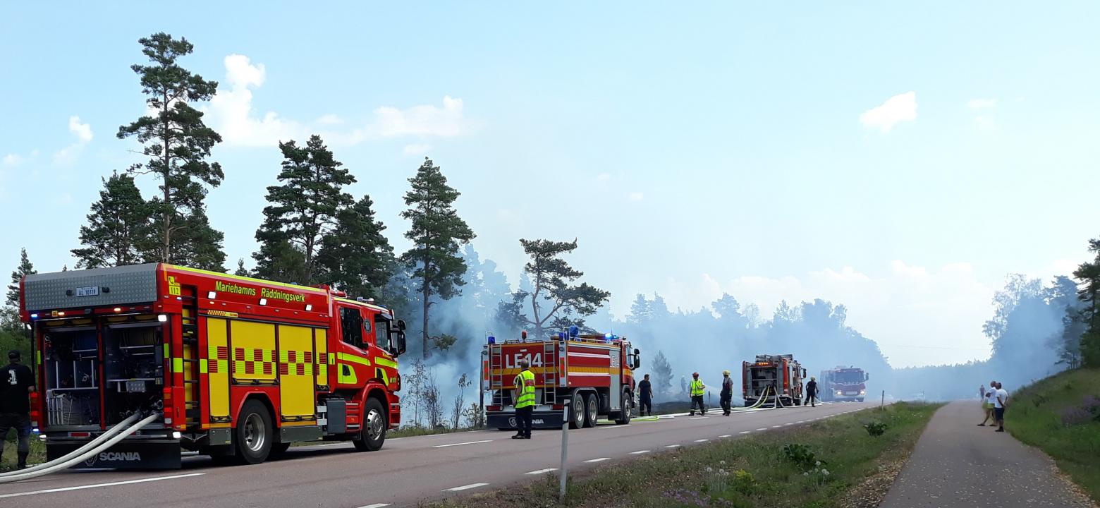 Bilden visar fyra brandbilar som bekämpar brand i skogen intill en väg