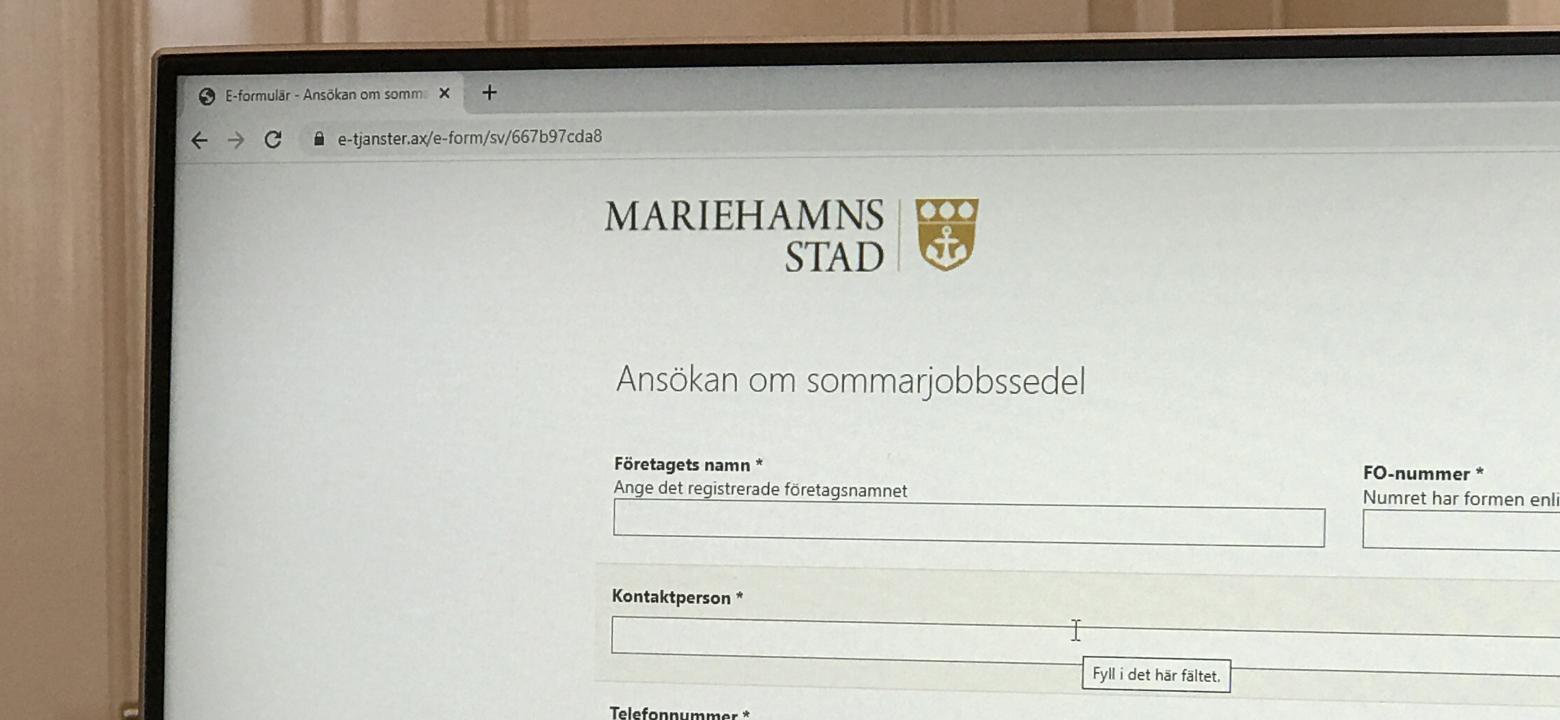 Datorskärm med e-formuläret öppet