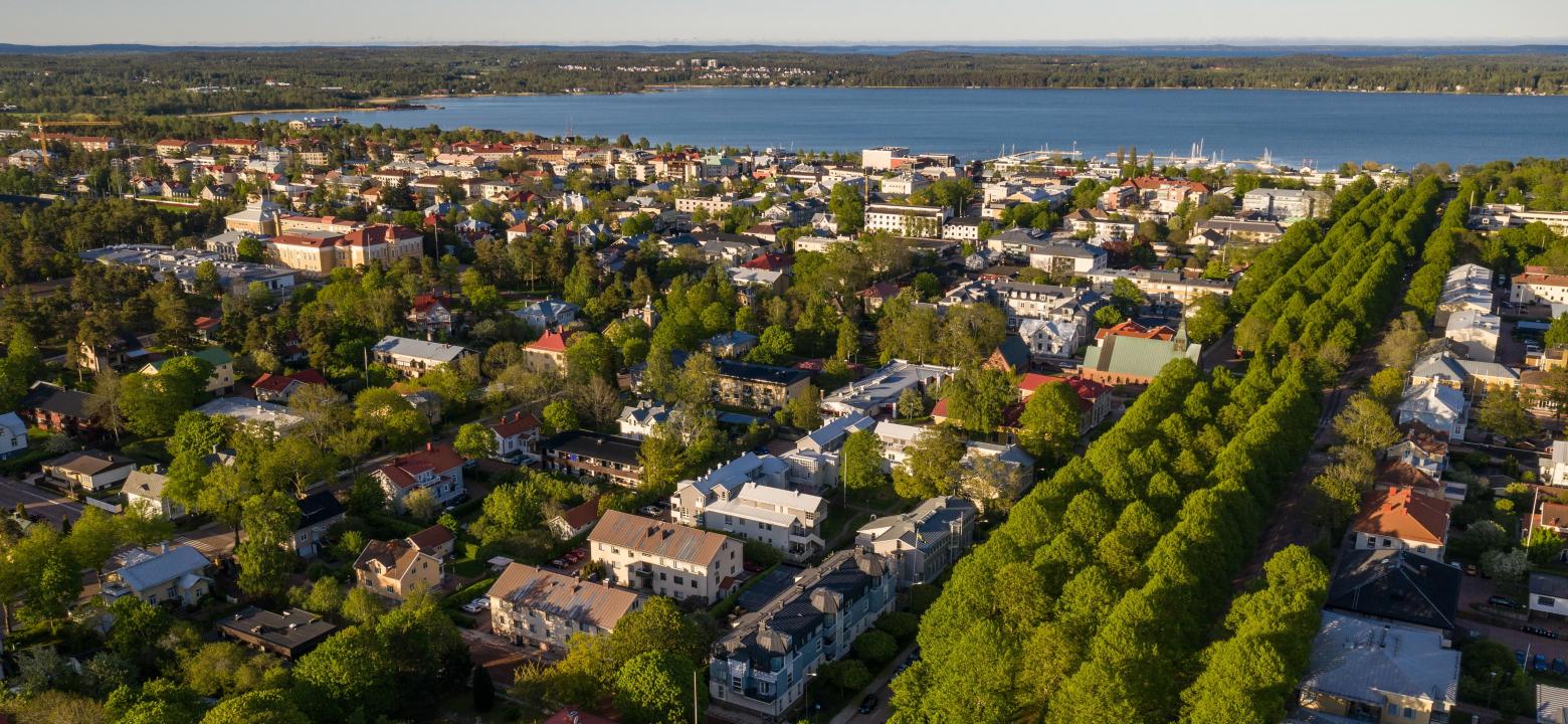 Hus och träd från ovan