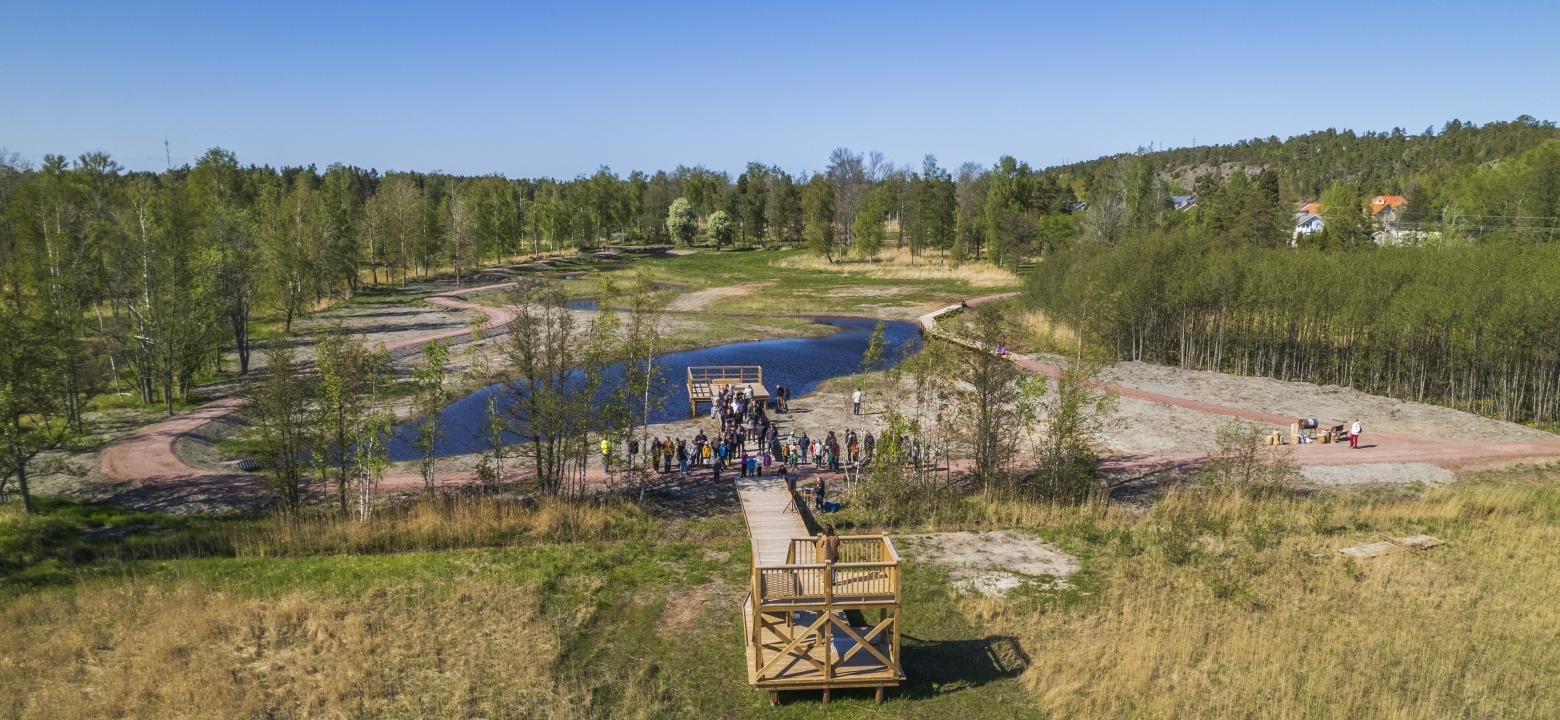 Flygfoto med folk på gångstig mellan brygga och fågeltorn