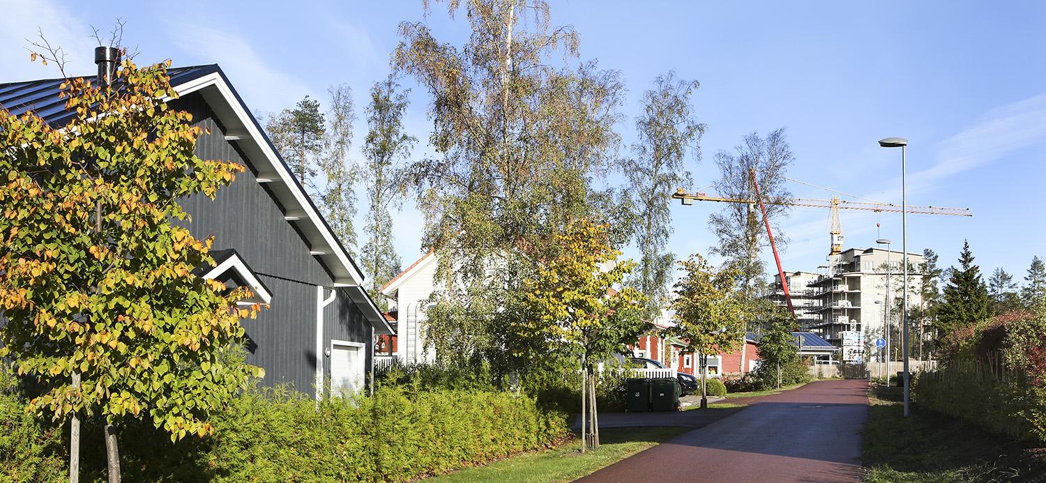 Foto som visar hus
