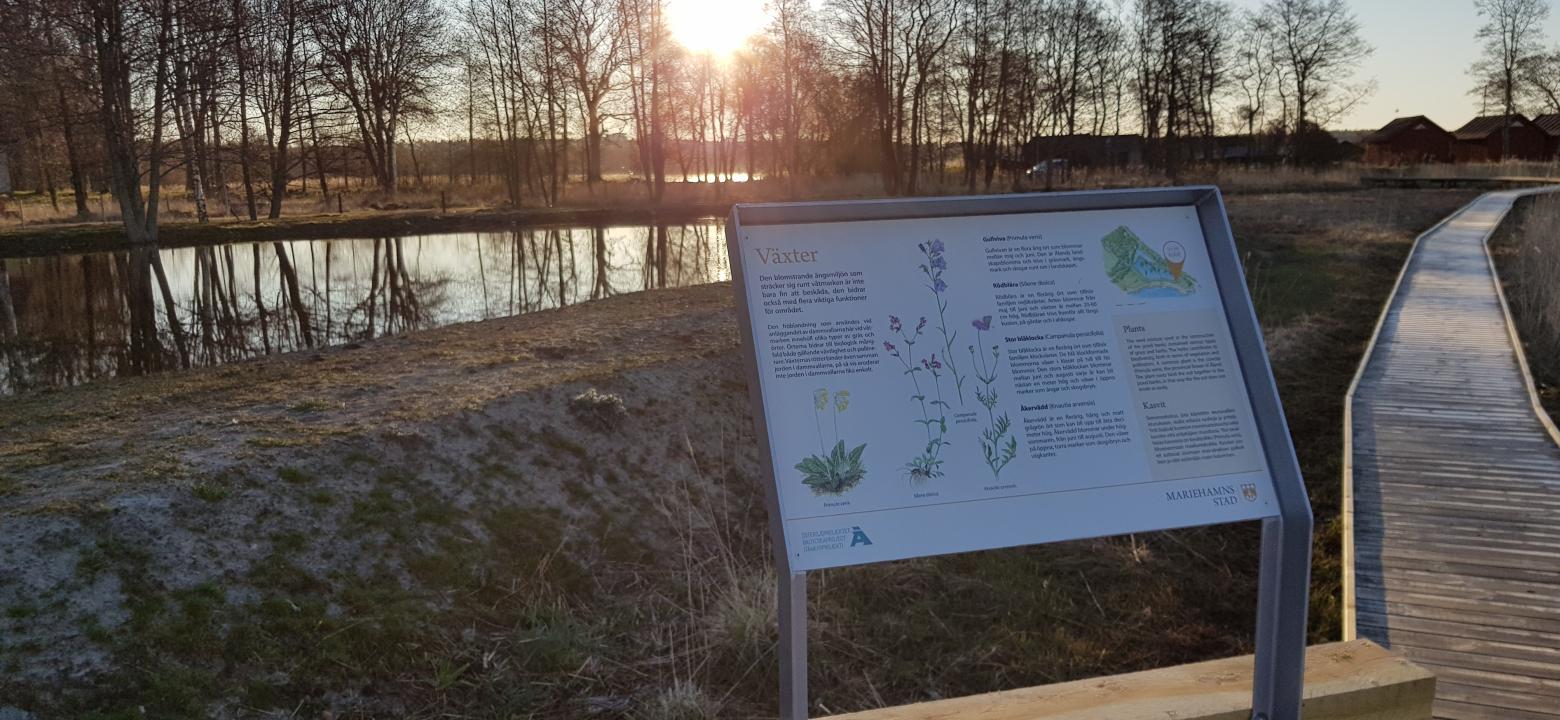 Spångar i trä och infotavla vid Nabben