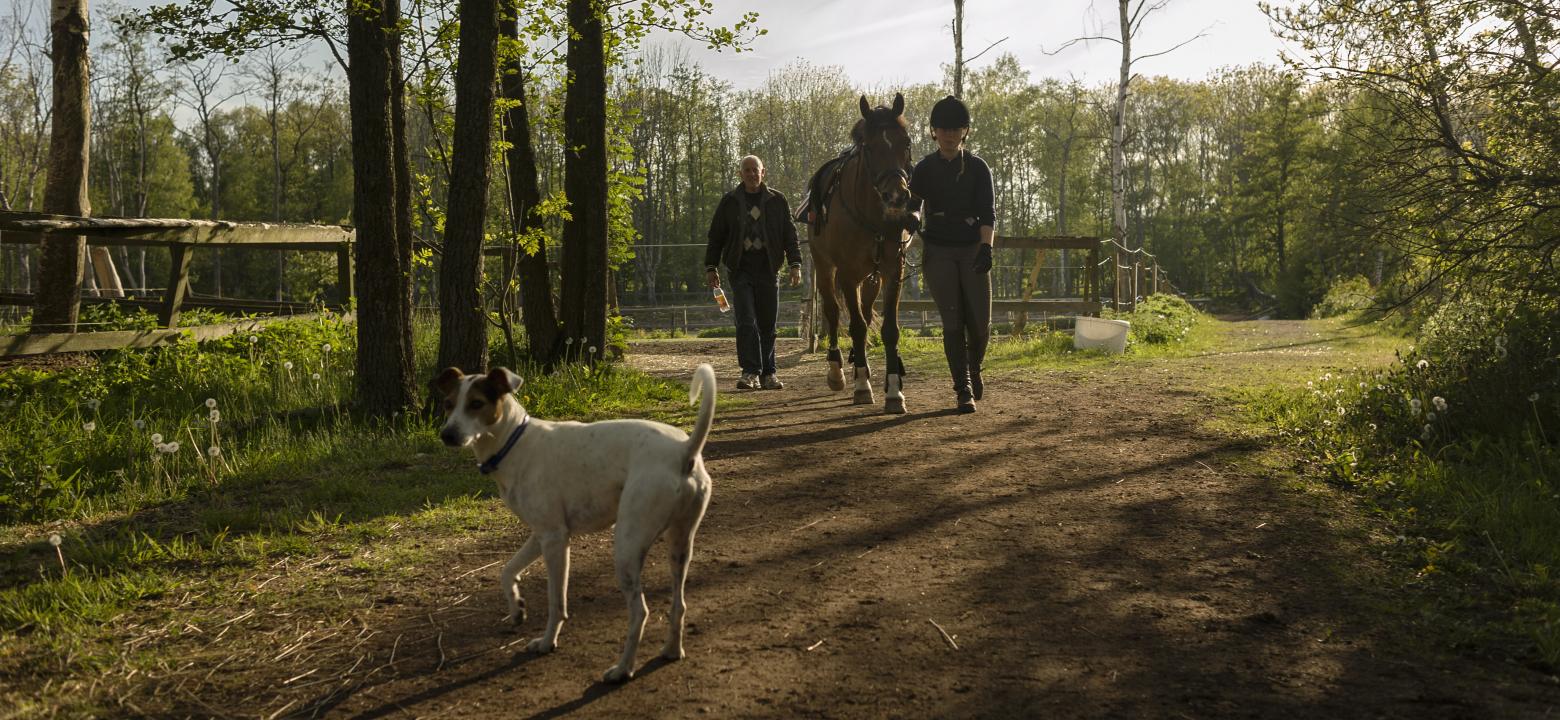 Bilden visar två personer med en häst