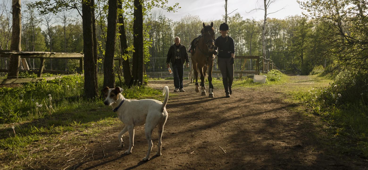 Bilden visar två personer med en häst 