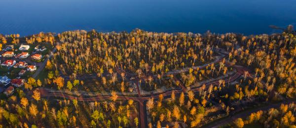 Bilden visar en överblick över skogsområde